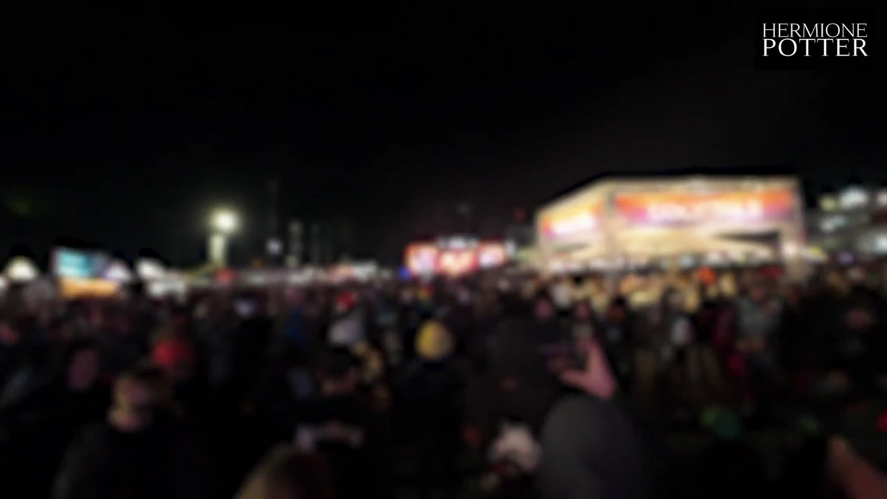 Rock am Ring 2024: A XXX adult vlog of a music festival with a hot face-fuck scene. porn video